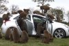 hyundai i30 monkey hyundai i30 monkey