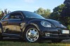 beetle home beetle home